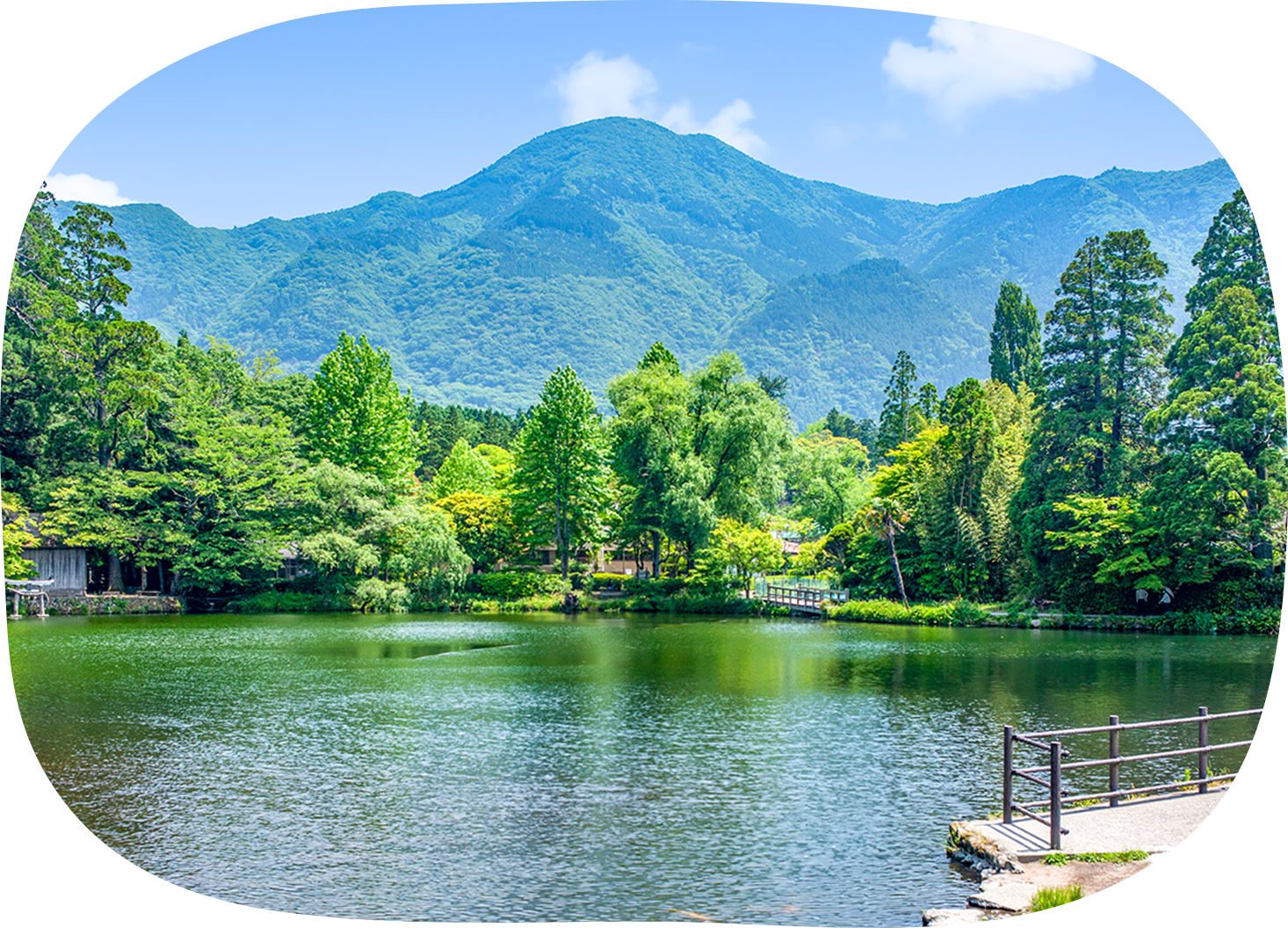 金鱗湖まで徒歩すぐ!絶好の写真スポット